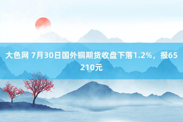 大色网 7月30日国外铜期货收盘下落1.2%，报65210元