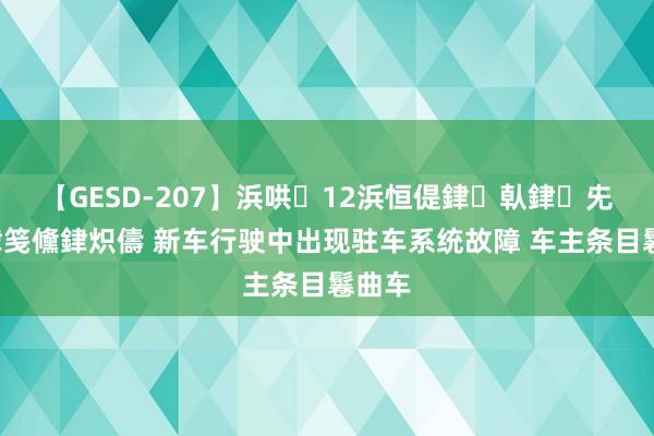 【GESD-207】浜哄12浜恒偍銉倝銉兂銉€銉笺儵銉炽儔 新车行驶中出现驻车系统故障 车主条目鬈曲车