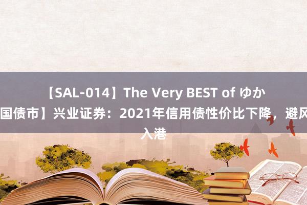 【SAL-014】The Very BEST of ゆか 【中国债市】兴业证券：2021年信用债性价比下降，避风入港