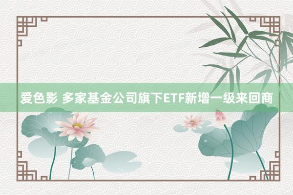 爱色影 多家基金公司旗下ETF新增一级来回商