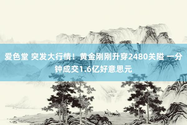 爱色堂 突发大行情！黄金刚刚升穿2480关隘 一分钟成交1.6亿好意思元