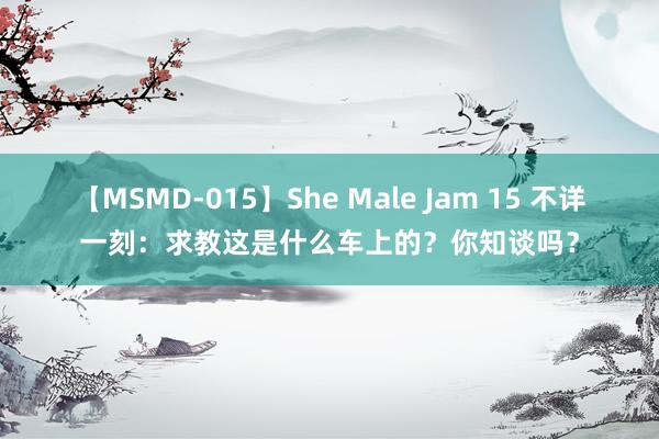 【MSMD-015】She Male Jam 15 不详一刻：求教这是什么车上的？你知谈吗？