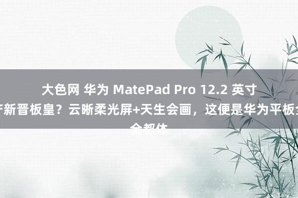 大色网 华为 MatePad Pro 12.2 英寸：国产新晋板皇？云晰柔光屏+天生会画，这便是华为平板全都体