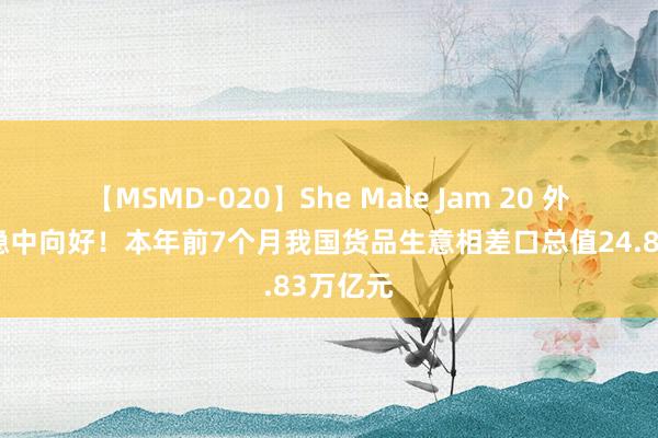 【MSMD-020】She Male Jam 20 外贸保执稳中向好！本年前7个月我国货品生意相差口总值24.83万亿元