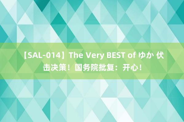 【SAL-014】The Very BEST of ゆか 伏击决策！国务院批复：开心！