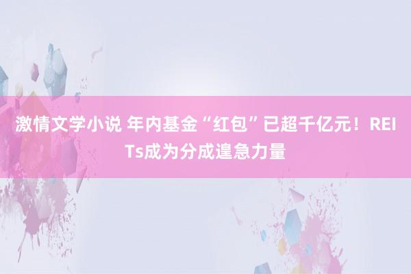 激情文学小说 年内基金“红包”已超千亿元！REITs成为分成遑急力量