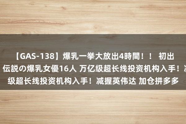 【GAS-138】爆乳一挙大放出4時間！！ 初出し！すべて撮り下ろし 伝説の爆乳女優16人 万亿级超长线投资机构入手！减握英伟达 加仓拼多多