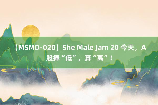 【MSMD-020】She Male Jam 20 今天，A股捧“低”，弃“高”！