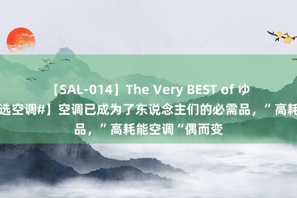 【SAL-014】The Very BEST of ゆか 【#央视教你选空调#】空调已成为了东说念主们的必需品，”高耗能空调“偶而变