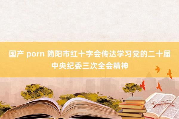 国产 porn 简阳市红十字会传达学习党的二十届中央纪委三次全会精神