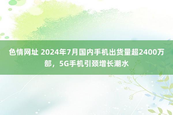 色情网址 2024年7月国内手机出货量超2400万部，5G手机引颈增长潮水