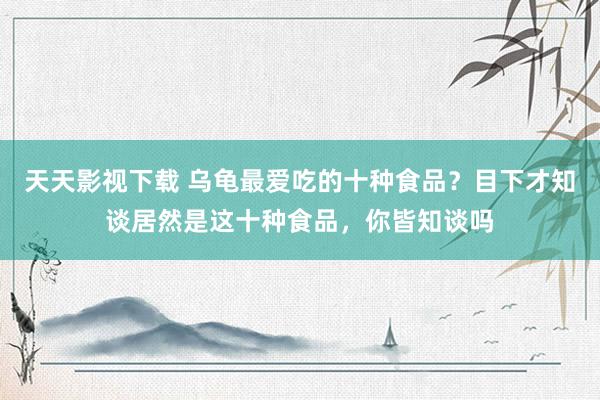 天天影视下载 乌龟最爱吃的十种食品？目下才知谈居然是这十种食品，你皆知谈吗