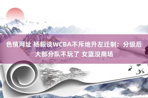 色情网址 杨毅谈WCBA不斥地升左迁制：分级后大部分队不玩了 女篮没商场