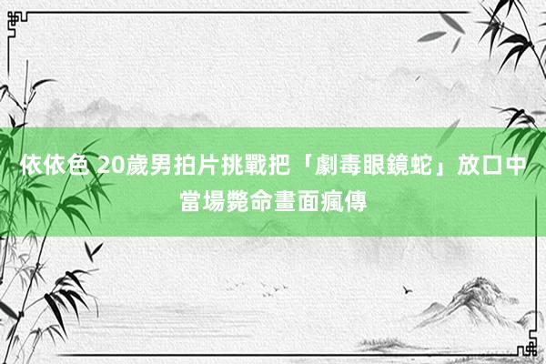 依依色 20歲男拍片挑戰把「劇毒眼鏡蛇」放口中　當場斃命畫面瘋傳