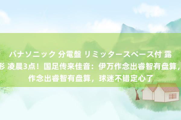 パナソニック 分電盤 リミッタースペース付 露出・半埋込両用形 凌晨3点！国足传来佳音：伊万作念出睿智有盘算，球迷不错定心了