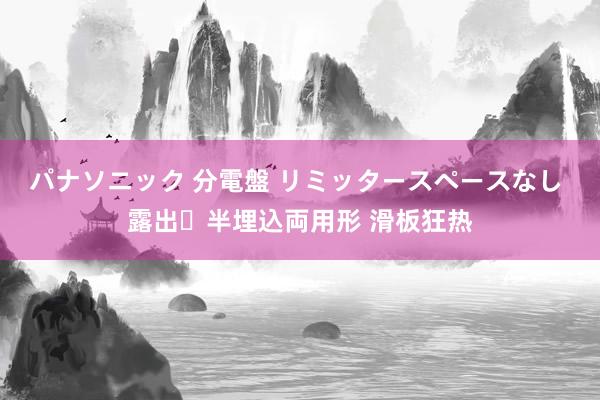 パナソニック 分電盤 リミッタースペースなし 露出・半埋込両用形 滑板狂热